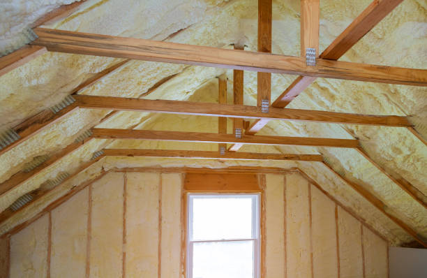 Types of Insulation We Offer in Indian Rocks Beach, FL
